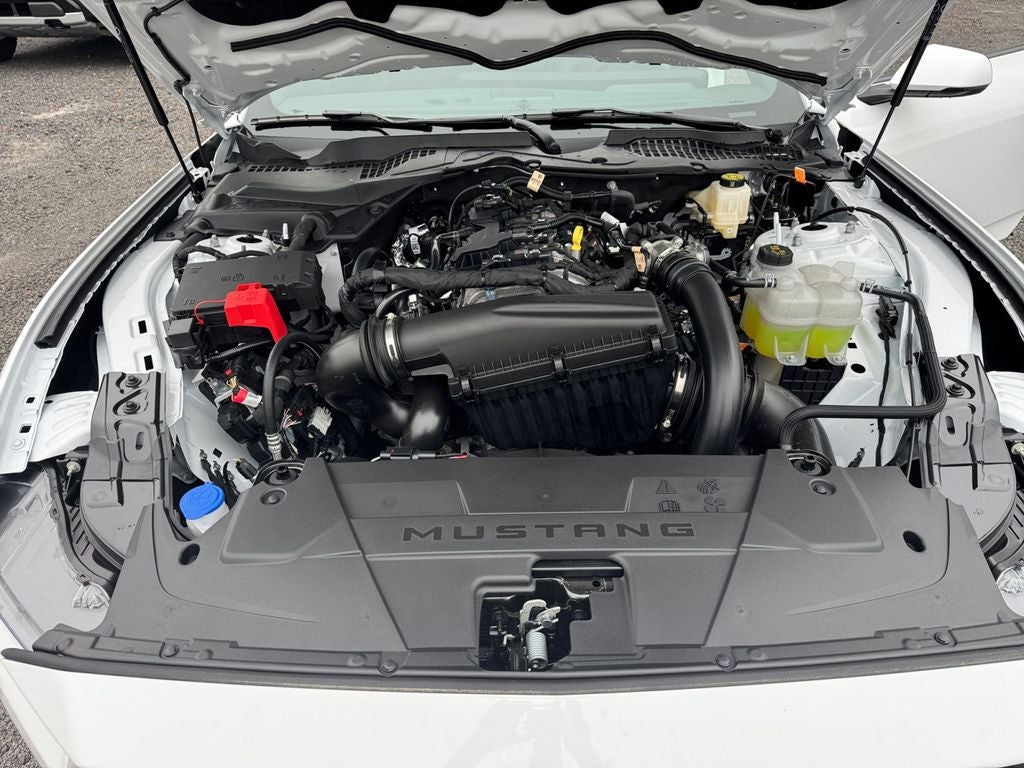 2026 Ford Mustang EcoBoost Premium 201A