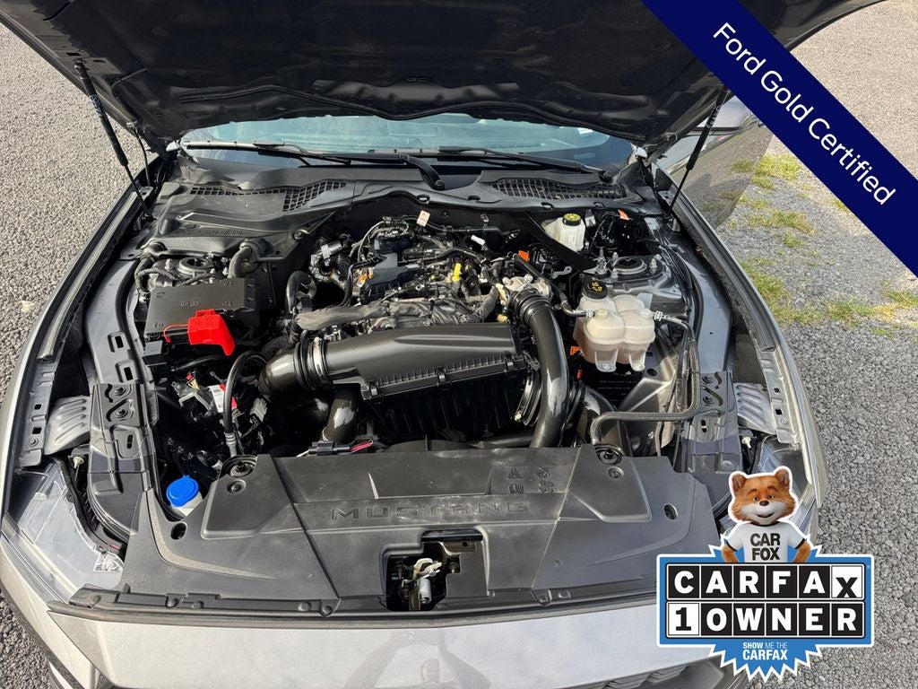 2024 Ford Mustang EcoBoost Premium
