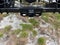 2026 Ford F-250SD XL 600A