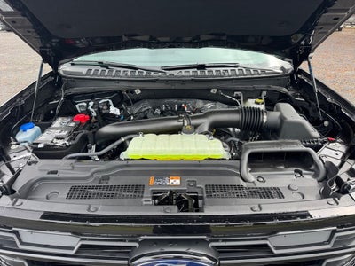 2026 Ford Expedition Active 202A