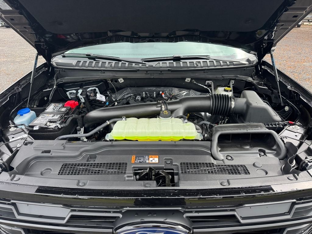 2026 Ford Expedition Active 202A