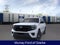 2026 Ford Expedition Active 202A