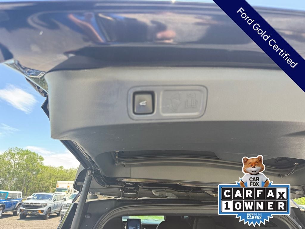 2024 Ford Expedition Platinum