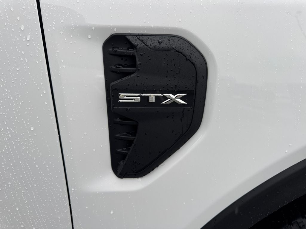 2025 Ford Ranger XL 100A