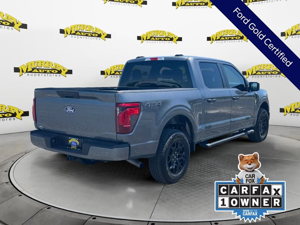 2025 Ford F-150 STX