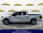 2025 Ford F-150 XLT 301A