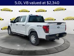2026 Ford F-150 XL 101A