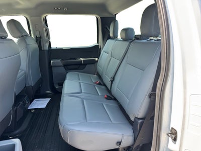 2026 Ford F-150 XL 101A