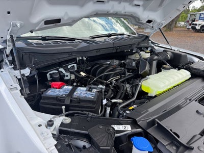 2026 Ford F-150 XL 101A