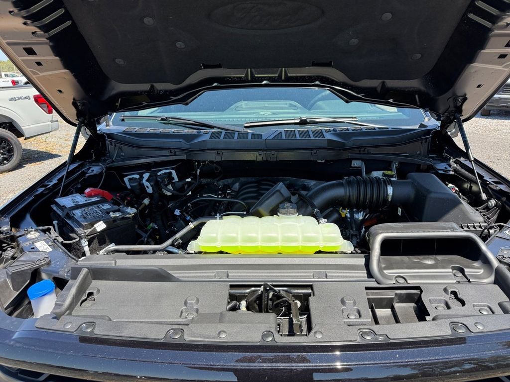 2026 Ford F-150 XLT 302A