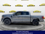2026 Ford F-150 XLT 301A