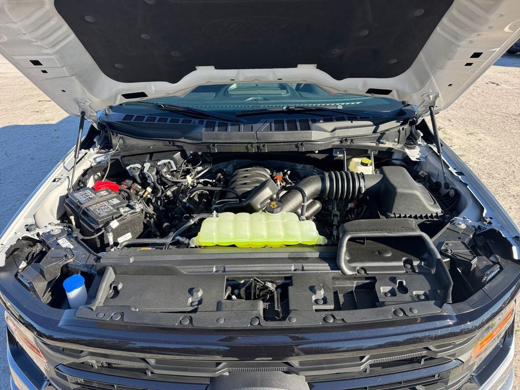 2026 Ford F-150 XLT 302A