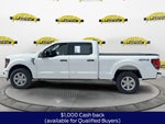 2026 Ford F-150 XLT 300A