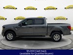 2026 Ford F-150 XLT 300A