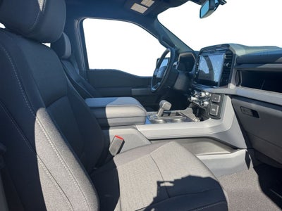 2026 Ford F-150 XLT 302A