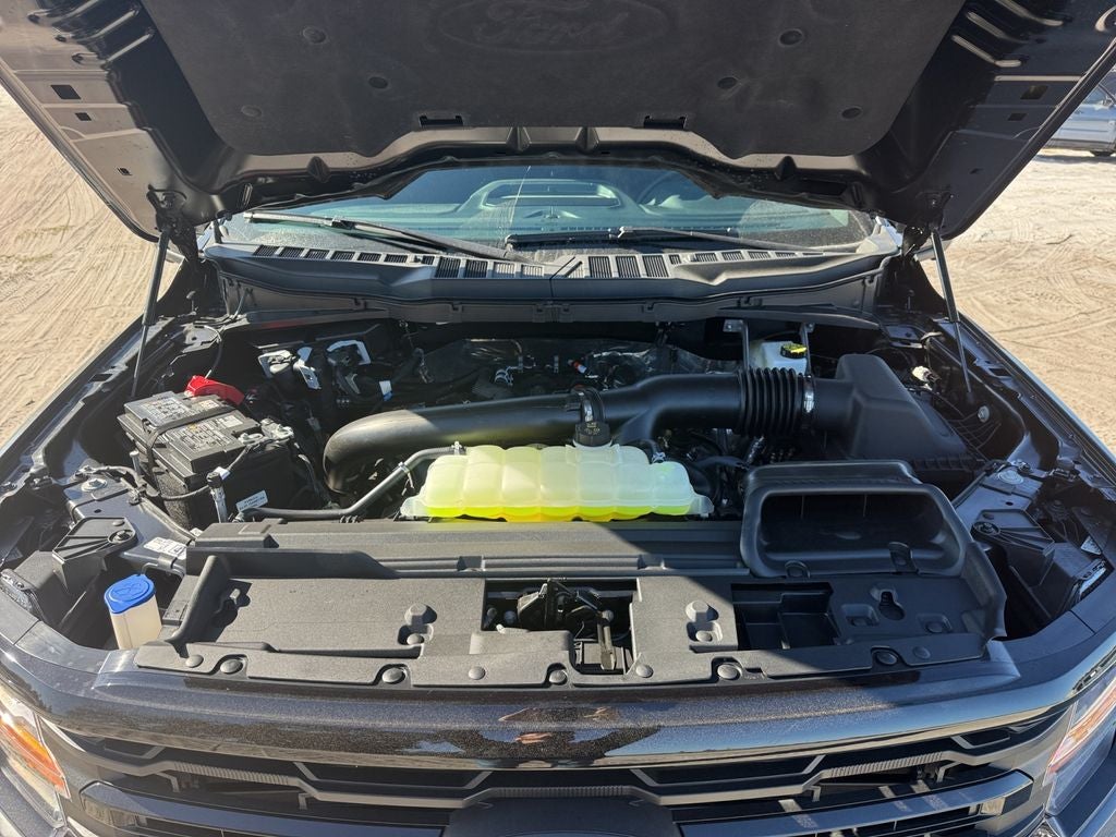 2026 Ford F-150 XLT 302A