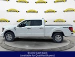 2026 Ford F-150 XLT 300A