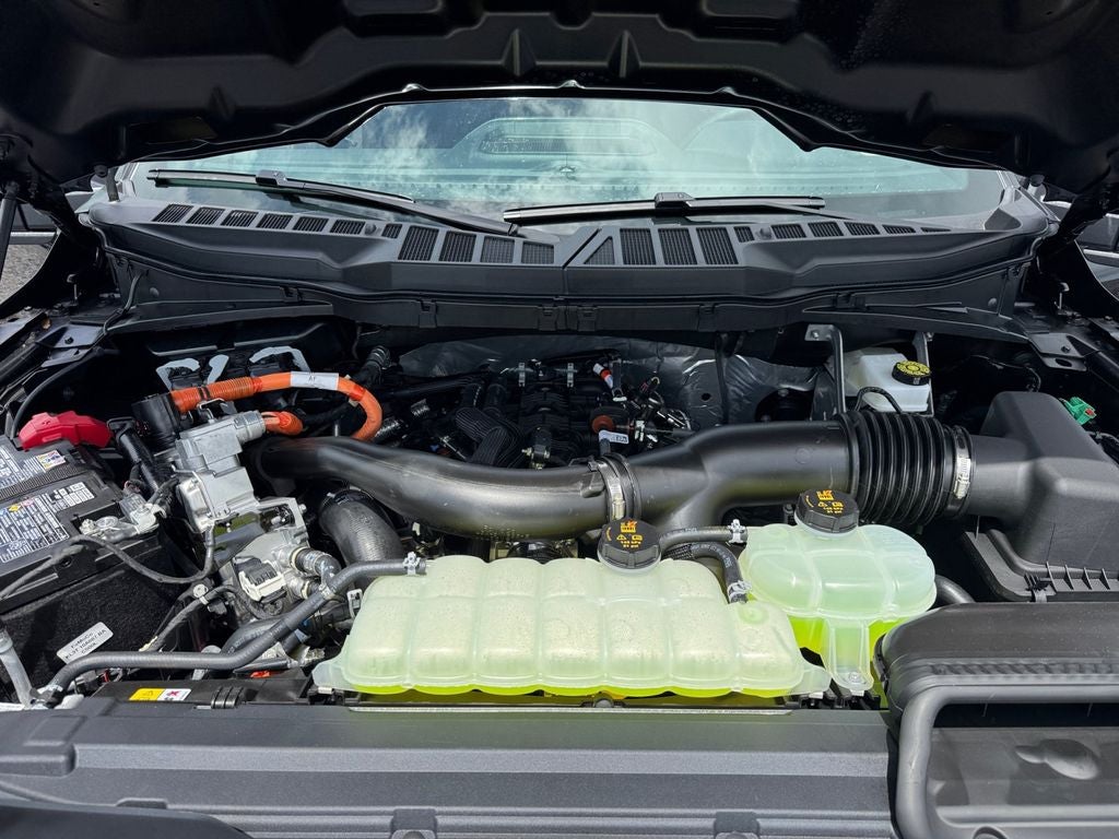 2026 Ford F-150 XLT 301A
