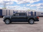 2026 Ford F-150 Platinum InTransit