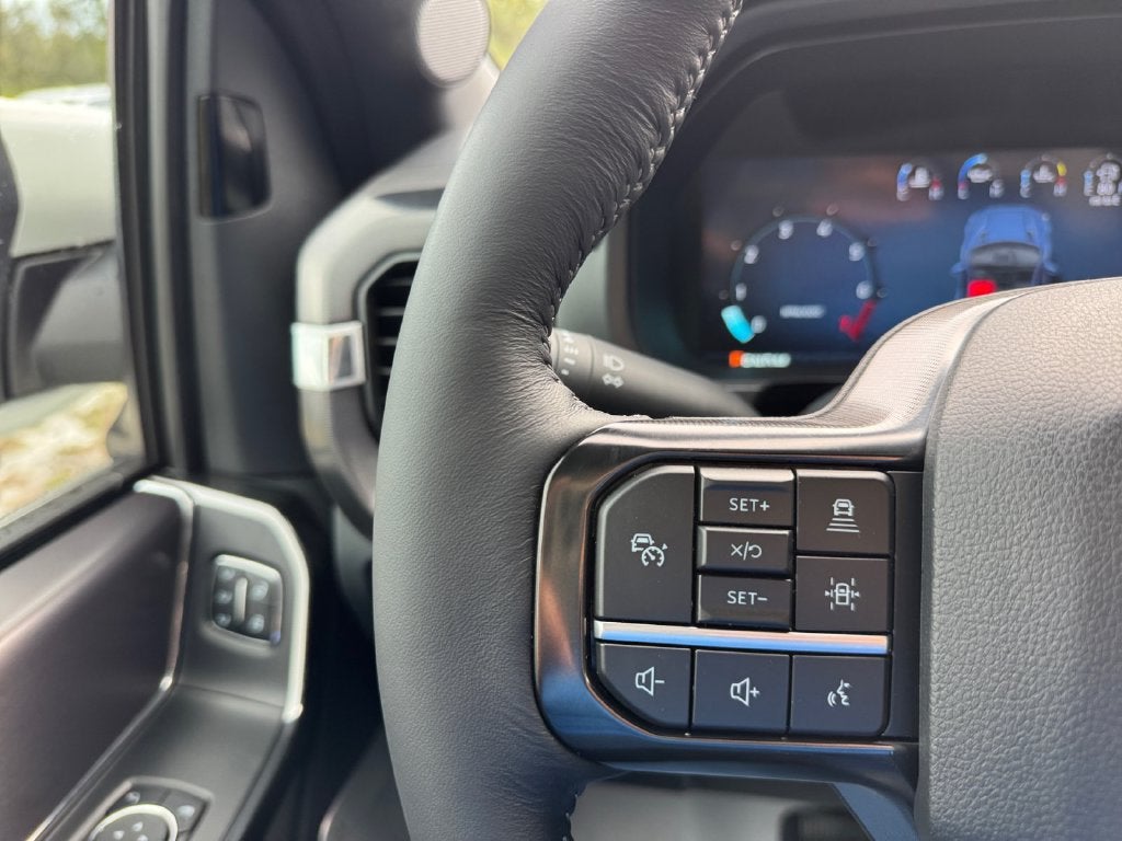 2026 Ford F-150 Platinum 702A