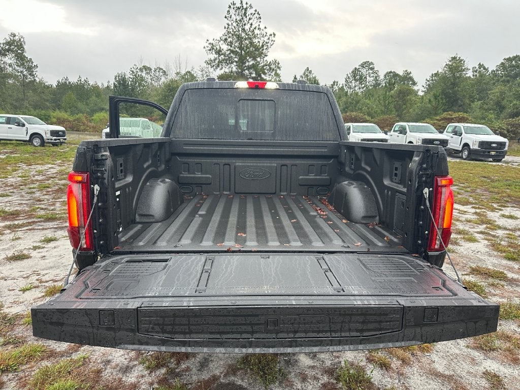 2026 Ford F-150 Platinum 702A