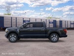 2026 Ford F-150 Platinum InTransit