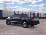 2026 Ford F-150 Platinum InTransit