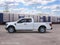 2026 Ford F-150 XL InTransit