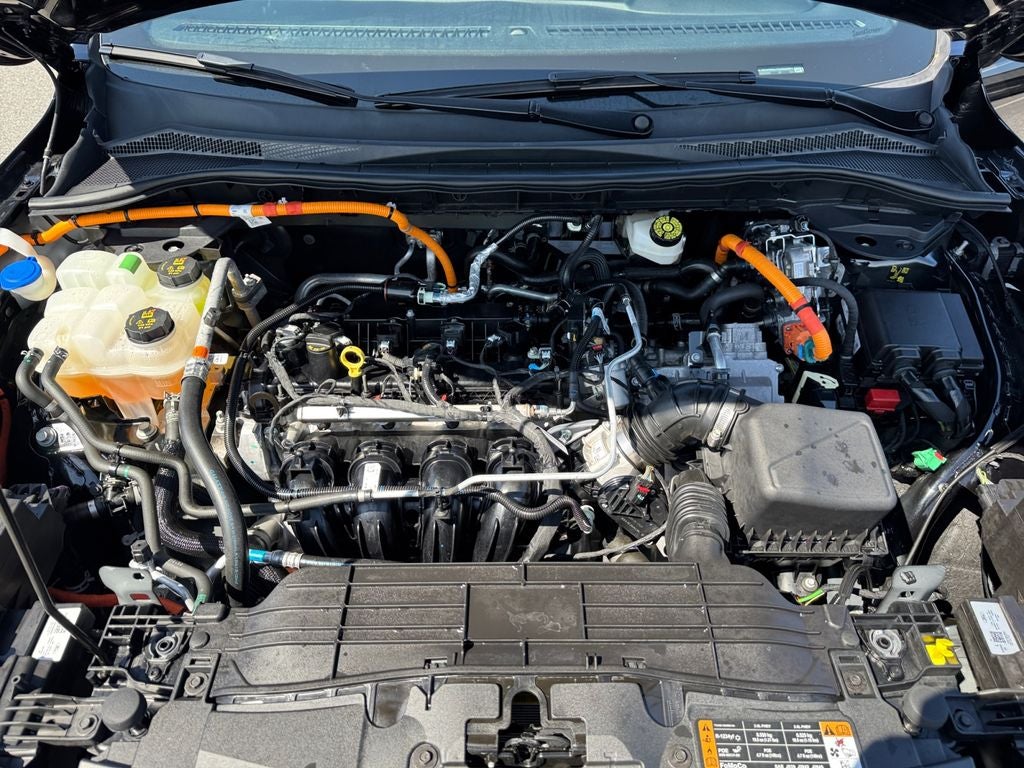 2024 Ford Escape Hybrid ST-Line