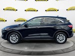 2021 Ford Escape Hybrid SE