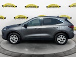 2024 Ford Escape Active AWD