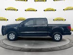 2024 Ford F-150 STX 5.0 V8 4X4